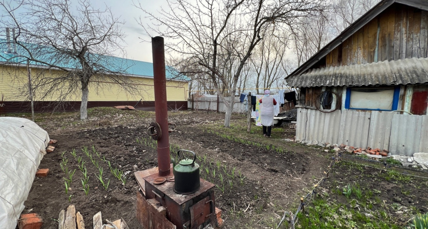 Только опытные дачники знают об этом: в новом сезоне от плодов не будет отбоя