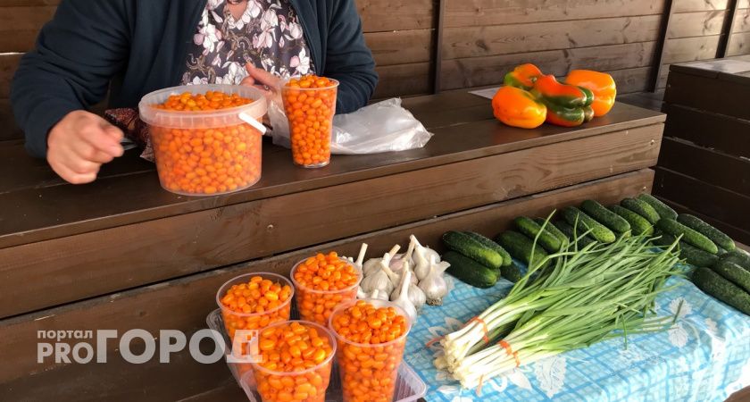 Йошкаролинцы смогут закупиться на сельскохозяйственной ярмарке