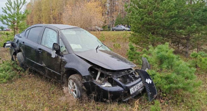 В Куженерском районе водитель вылетел с дороги и разбился насмерть