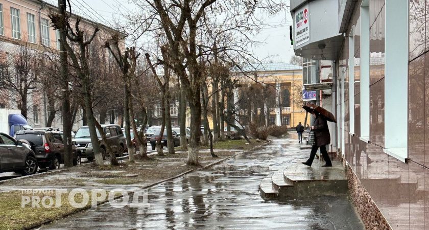 Небольшой дождь прогнозируют в Марий Эл в пятницу