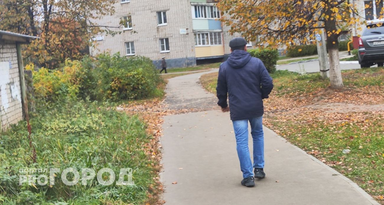 Житель Медведевского района хотел получить СНИЛС, но получил дыру в кошельке