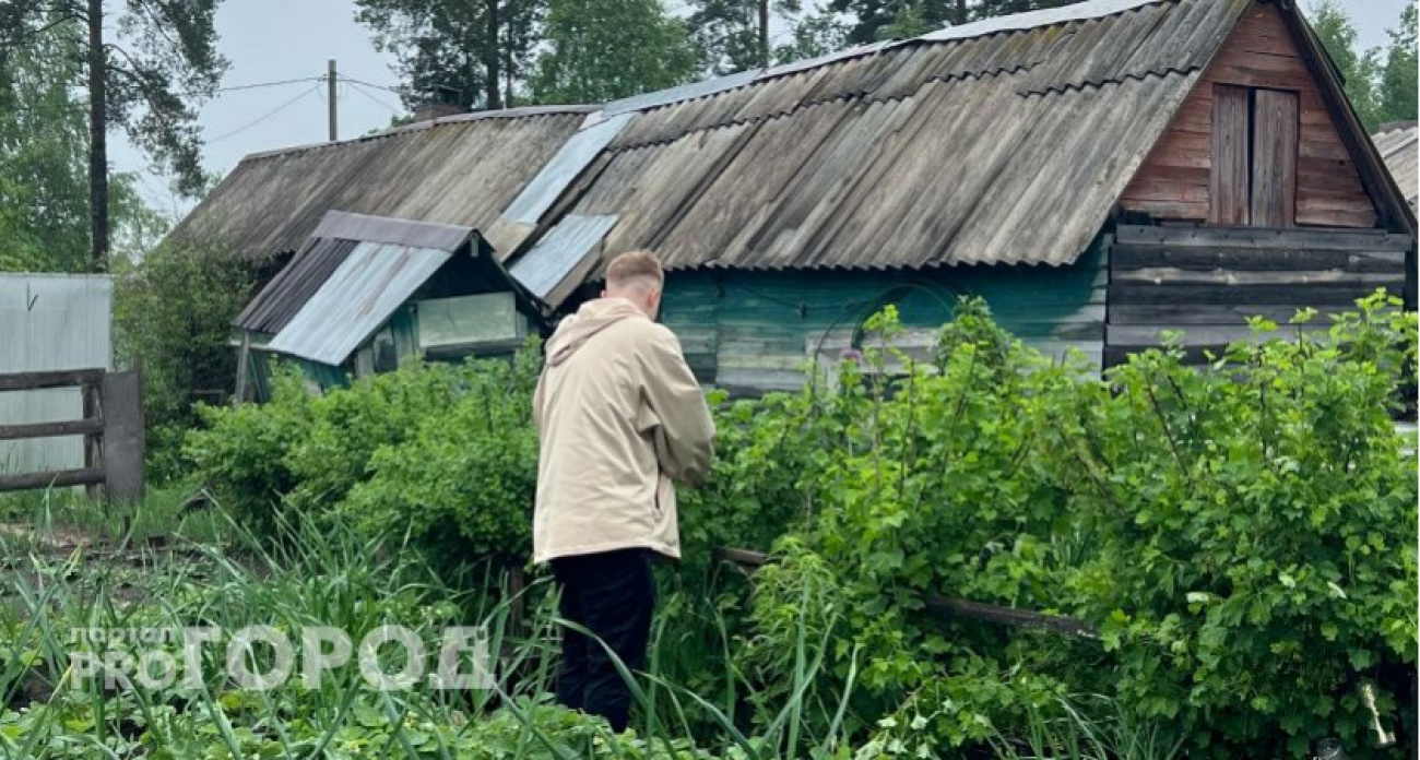 Рыхлая почва как пуховое облачко: вместо тонны компоста и удобрений сыплю 1 ложку муки на грядки