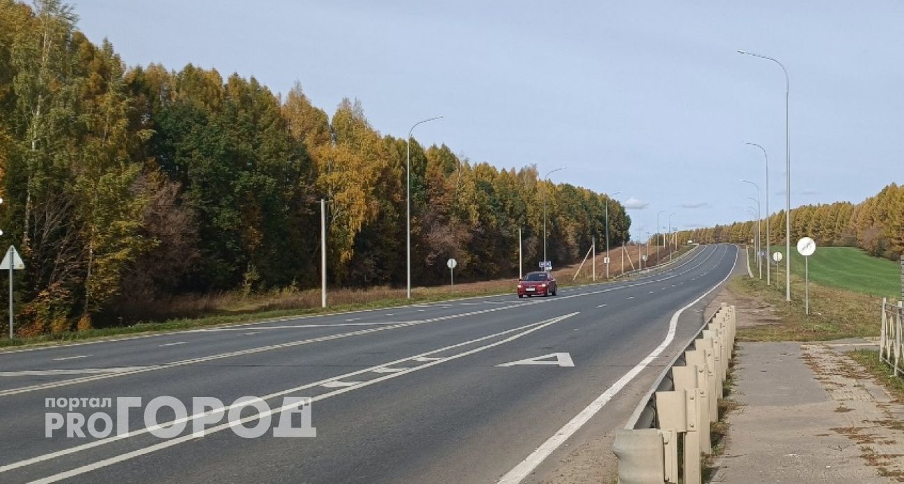 Женщина вышла на дорогу под колеса грузовика в Медведевском районе