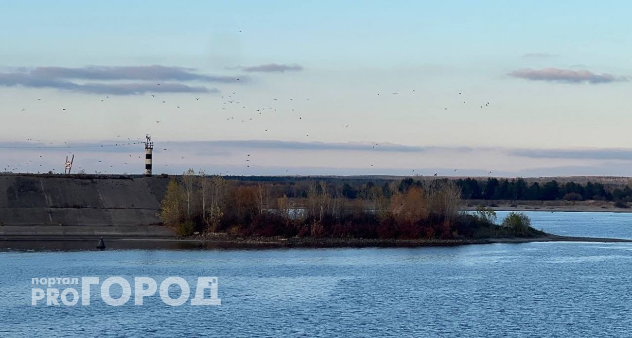 Мужчина уплыл по Волге на глазах жителей Козьмодемьянска и утонул