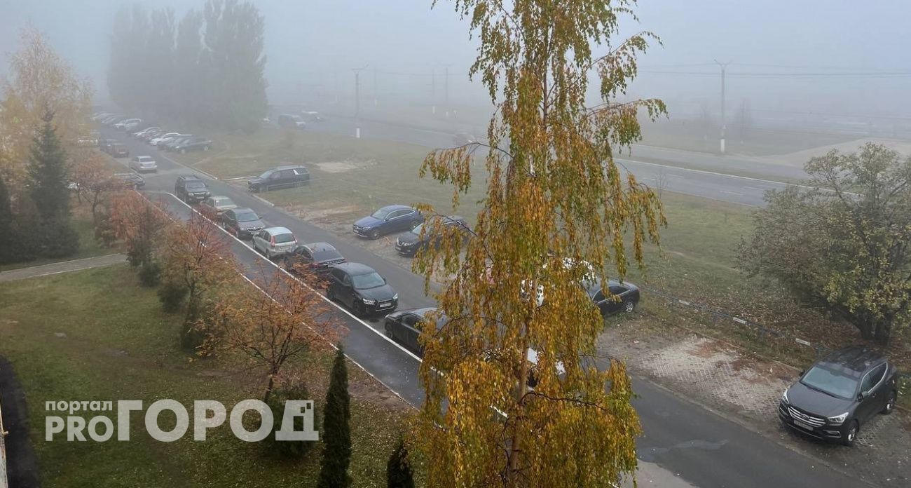 Туман с дождем придут в Марий Эл в ближайшие дни