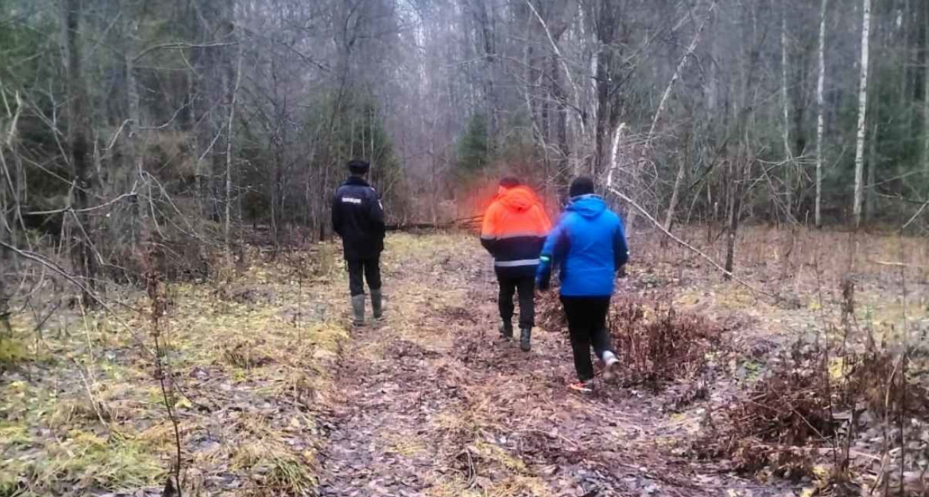 Заблудшего охотника три дня искали в марийском лесу