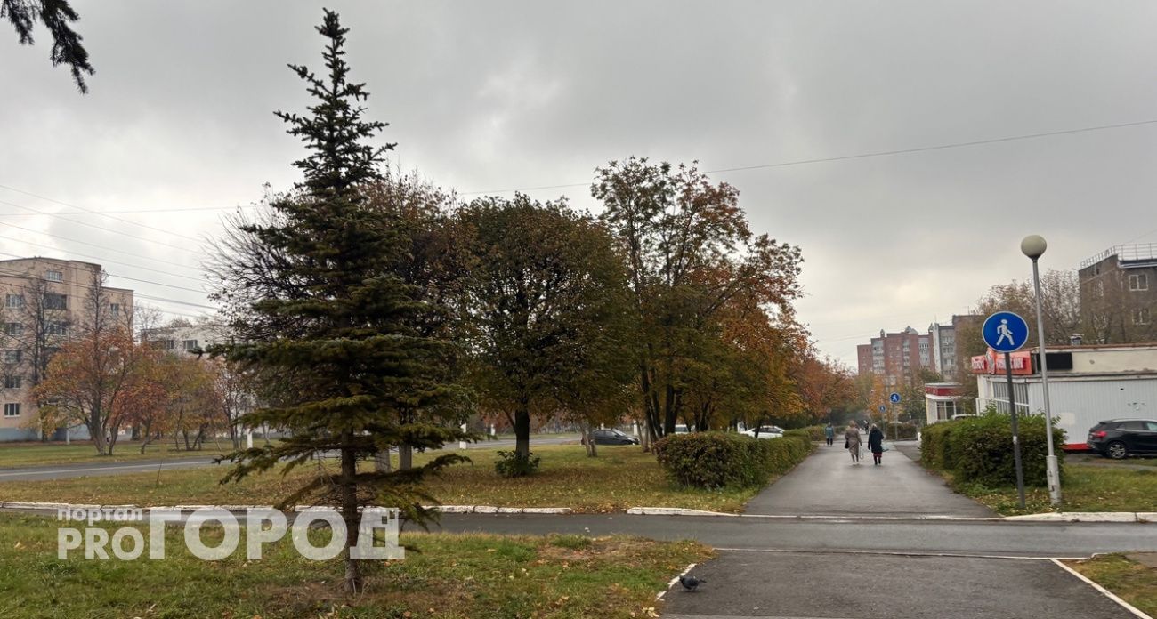 Штормовой ветер останется в Марий Эл еще на день