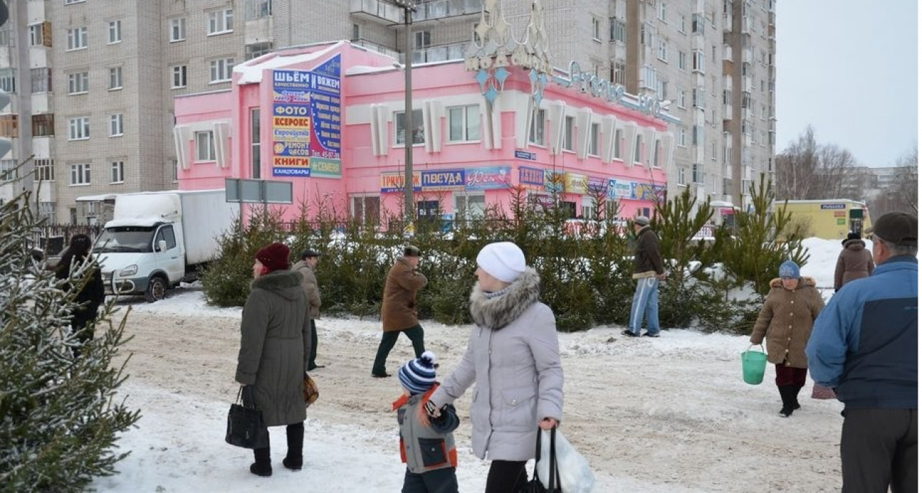 Атмосфера праздника продержится дольше: названо лучшее время для постановки живой ели к Новому году