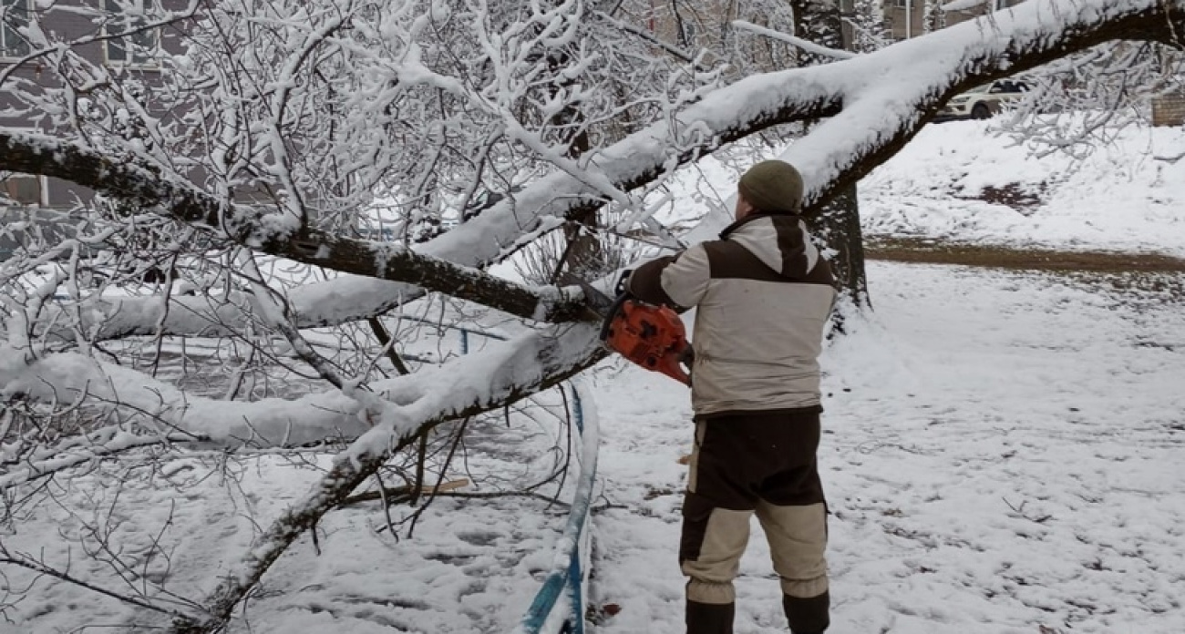 Ураган в Йошкар-Оле снес 50 деревьев