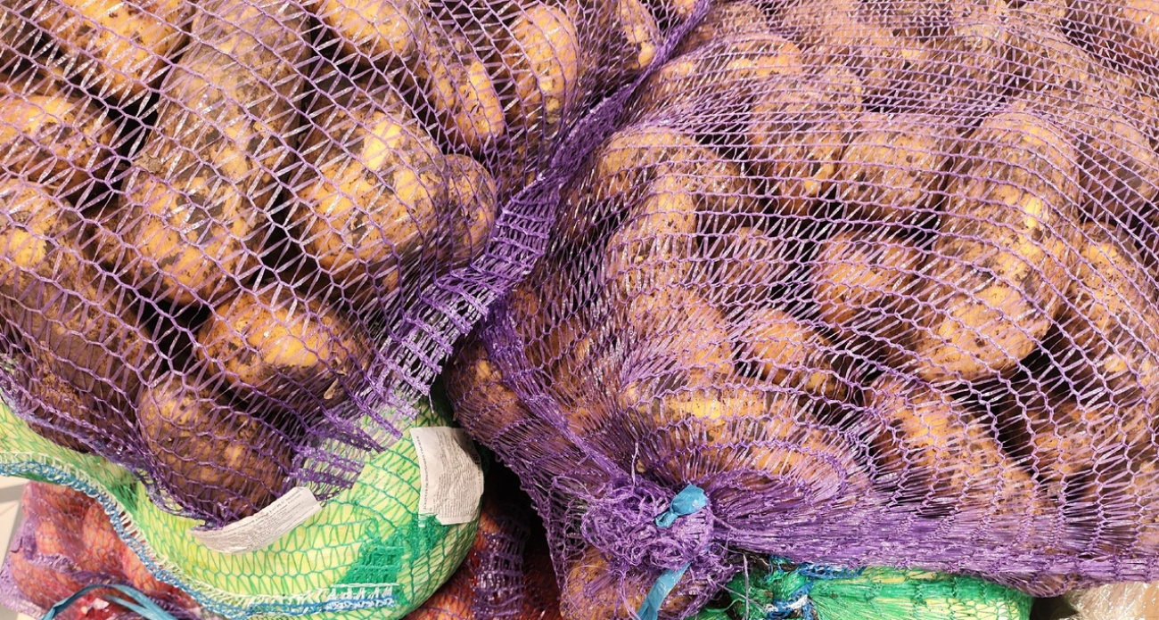 Многотонный урожай обеспечен: ушлые дачники скупают семена этого картофеля уже сейчас