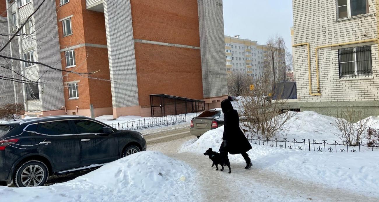 Теперь по закону: с 1 января за выгул этих собак россияне будут платить гигантские штрафы