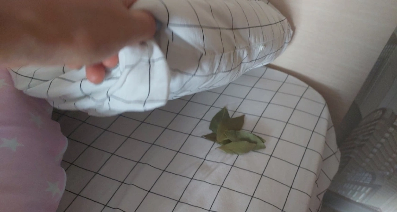 Целебный лавровый лист в спальне: как растение влияет на качество сна и здоровье