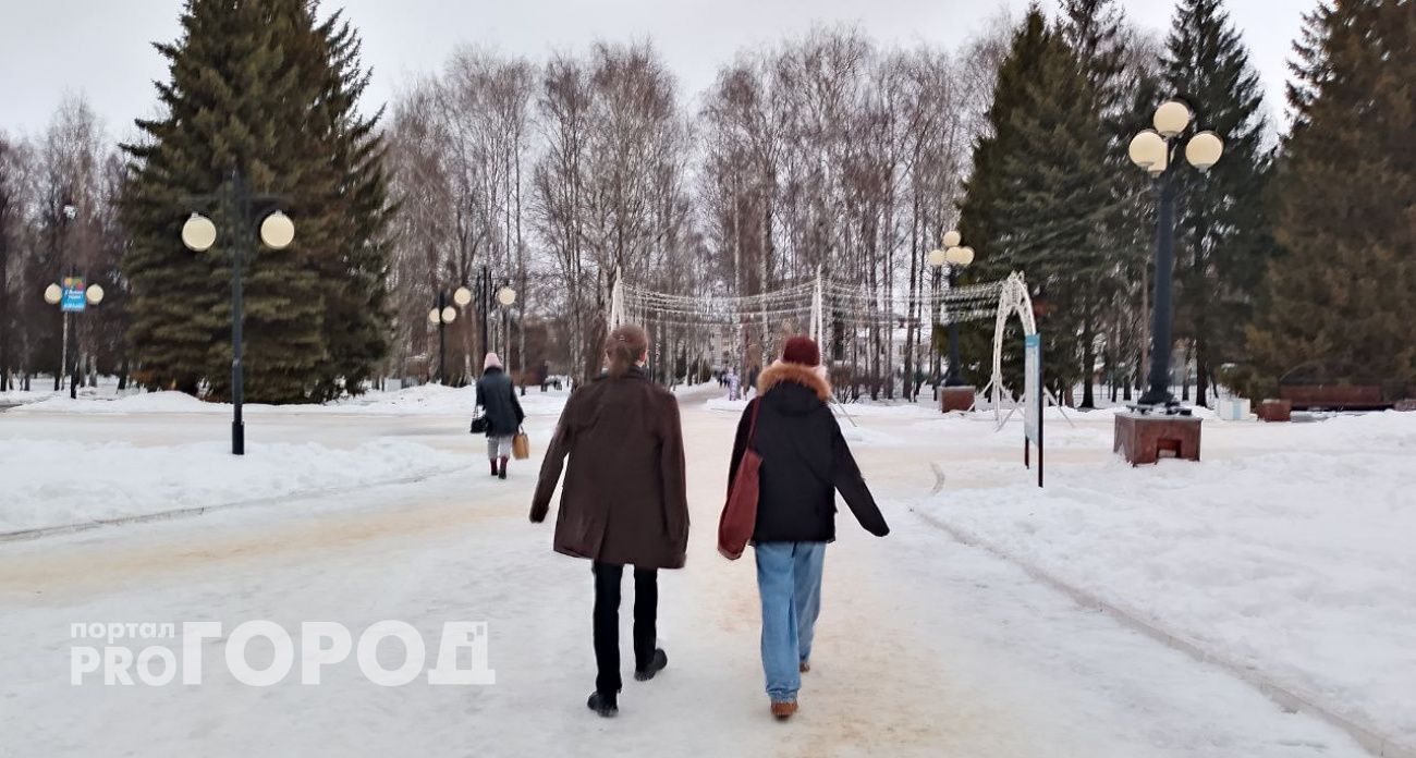 Небольшой снег и ветер: прогноз погоды в Марий Эл на вторник