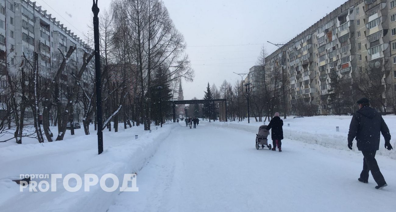 Резкое потепление принесет в Марий Эл метель