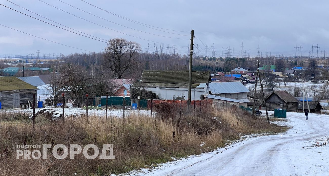 Частное хозяйство в Марий Эл стало очагом опасного заболевания