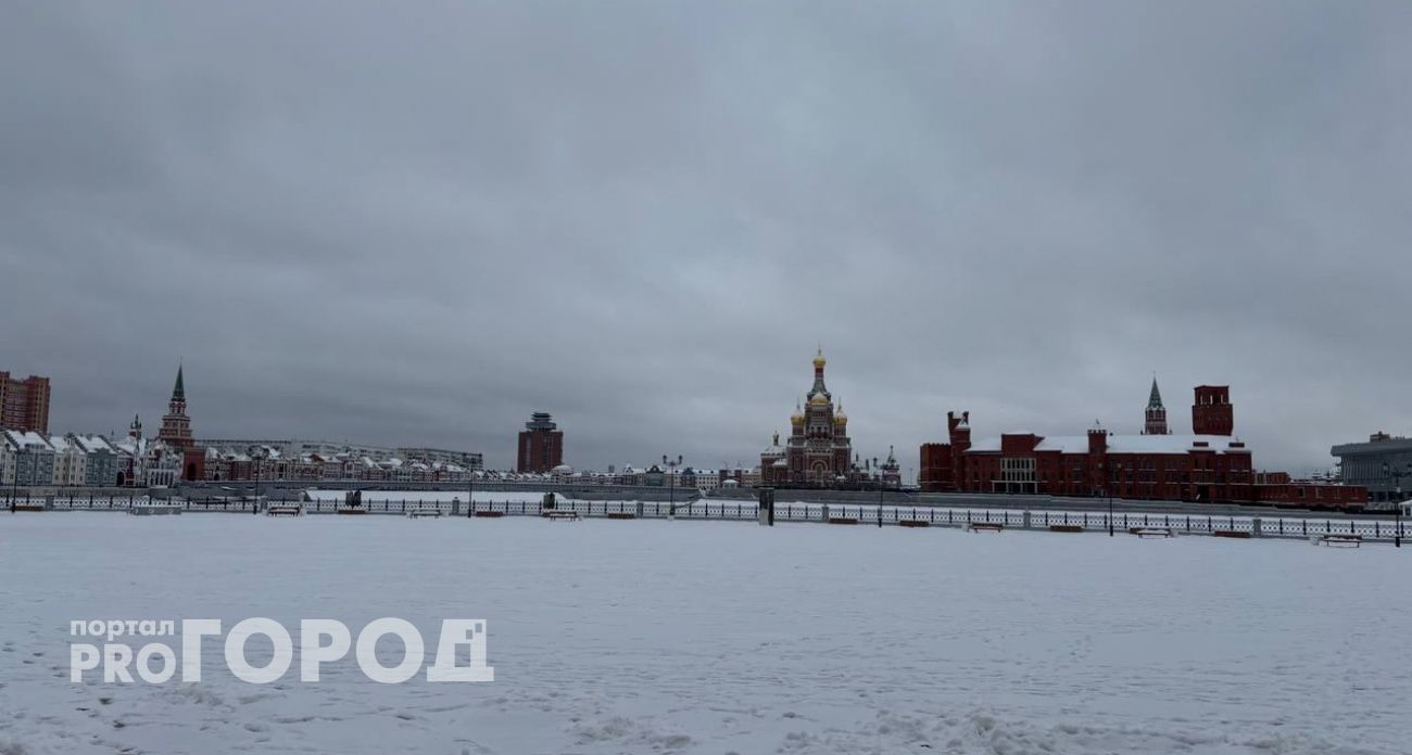 Япония ввела санкции против марийского завода