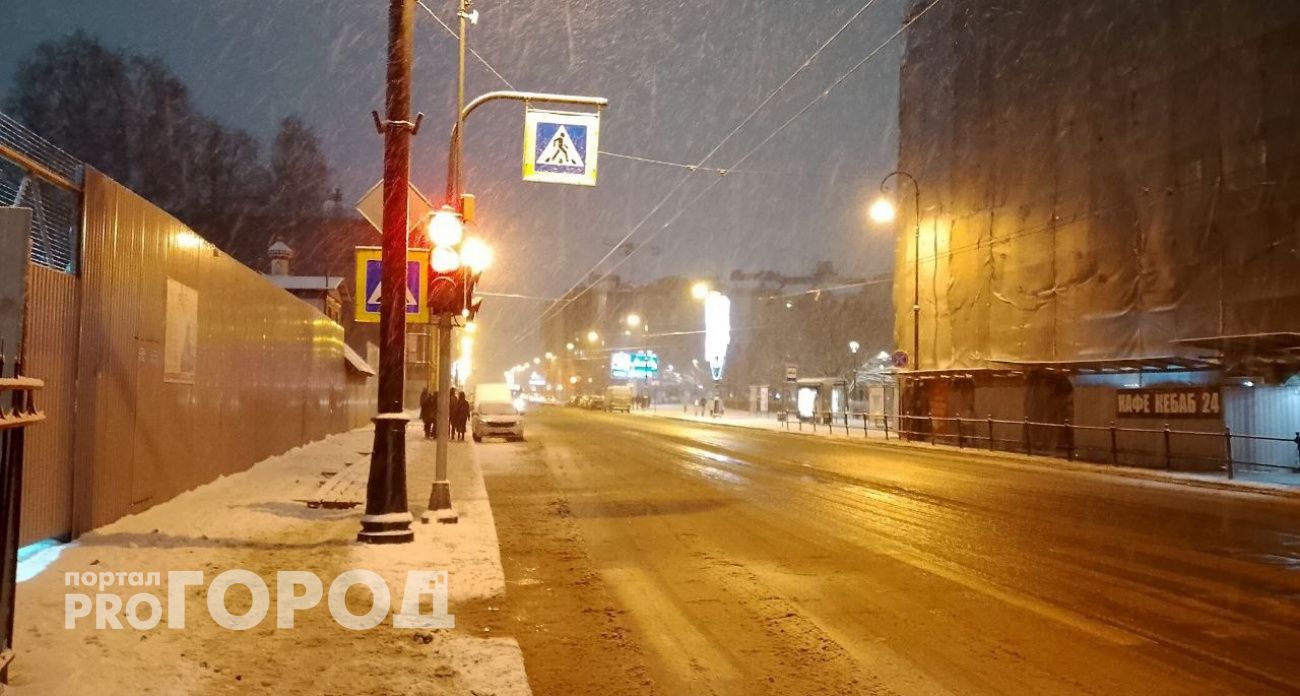 Аномальный январь принес в Марий Эл тепло и дожди: что обещает жителям необычная зима