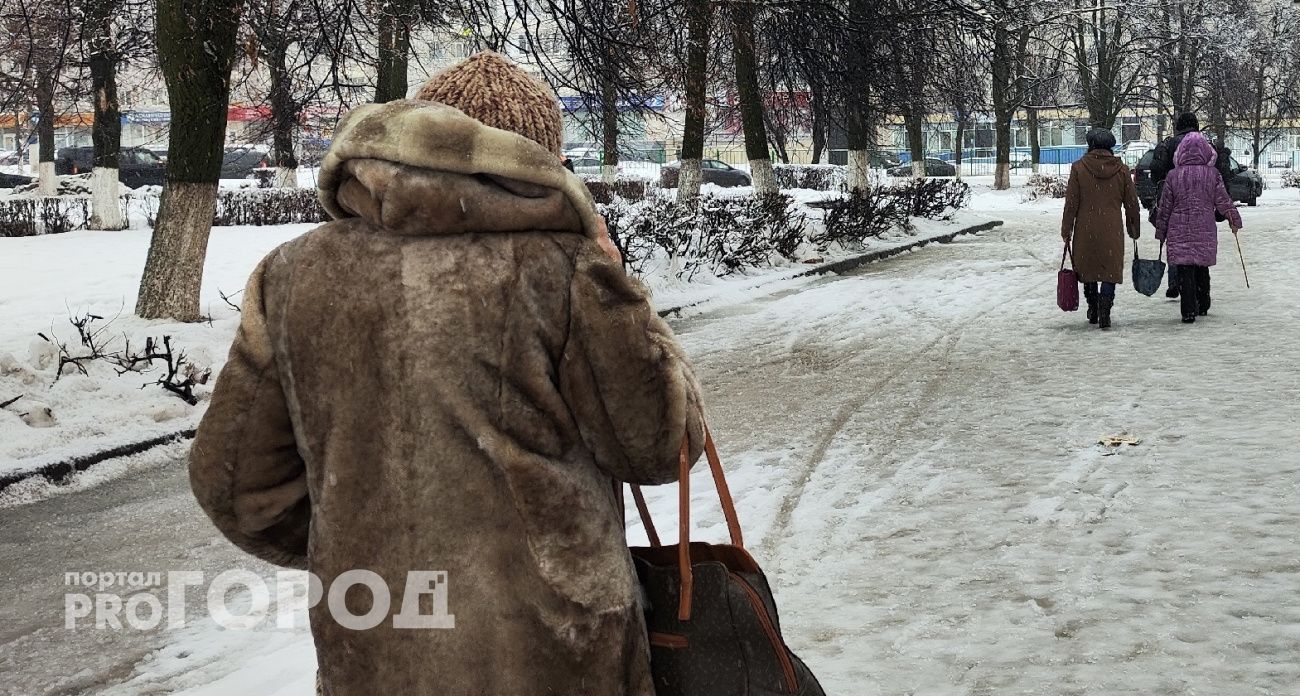 Жительницу Советского района арестовали за лень