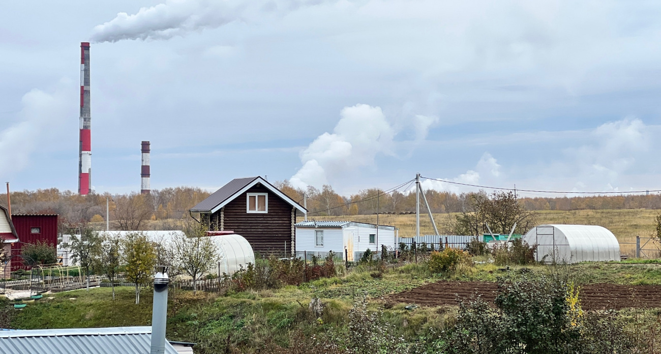 Каким будет лето 2025 после необычайно теплой зимы: эксперты ответили, к чему готовиться садоводам