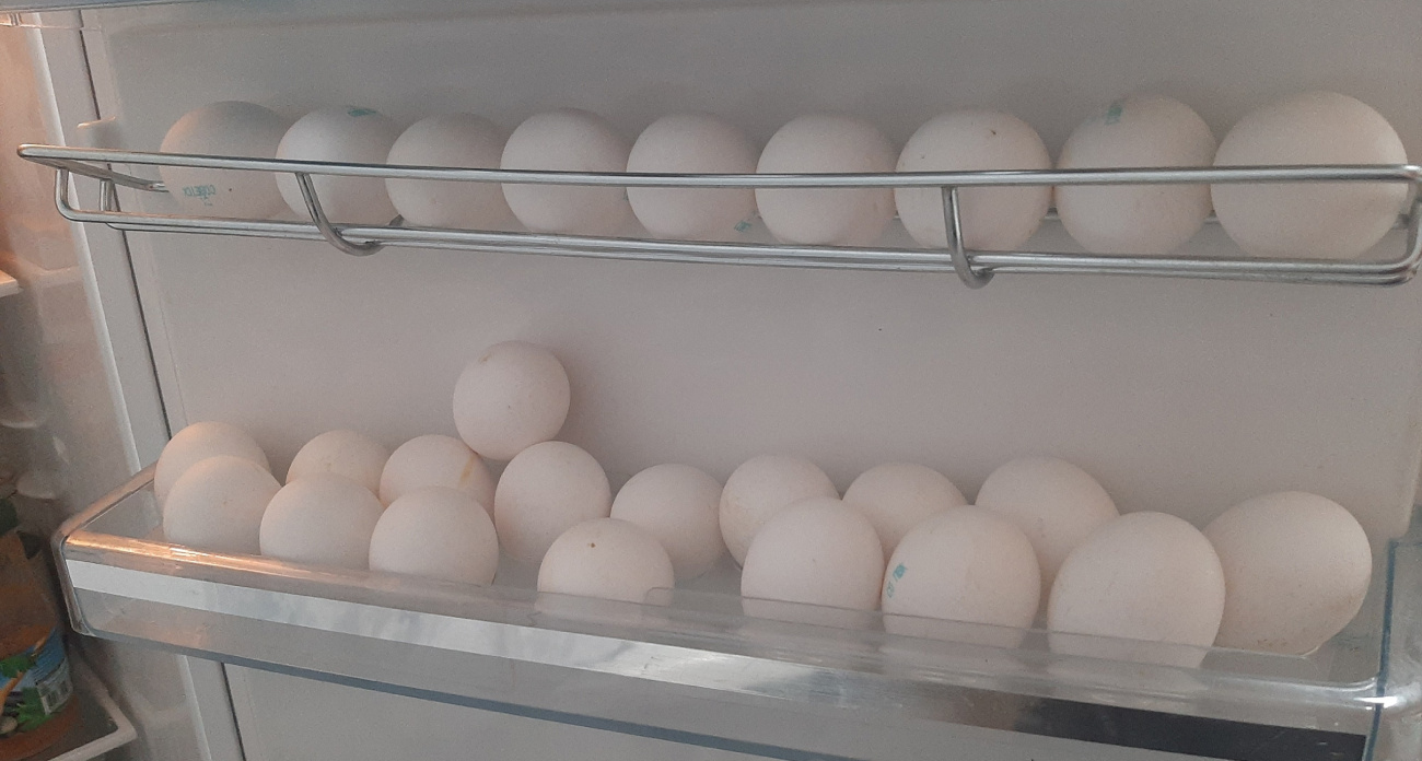 Яйца прокормят еще скорлупой: опытные дачники копят всю зиму – весной на удобрения не тратят ни рубля