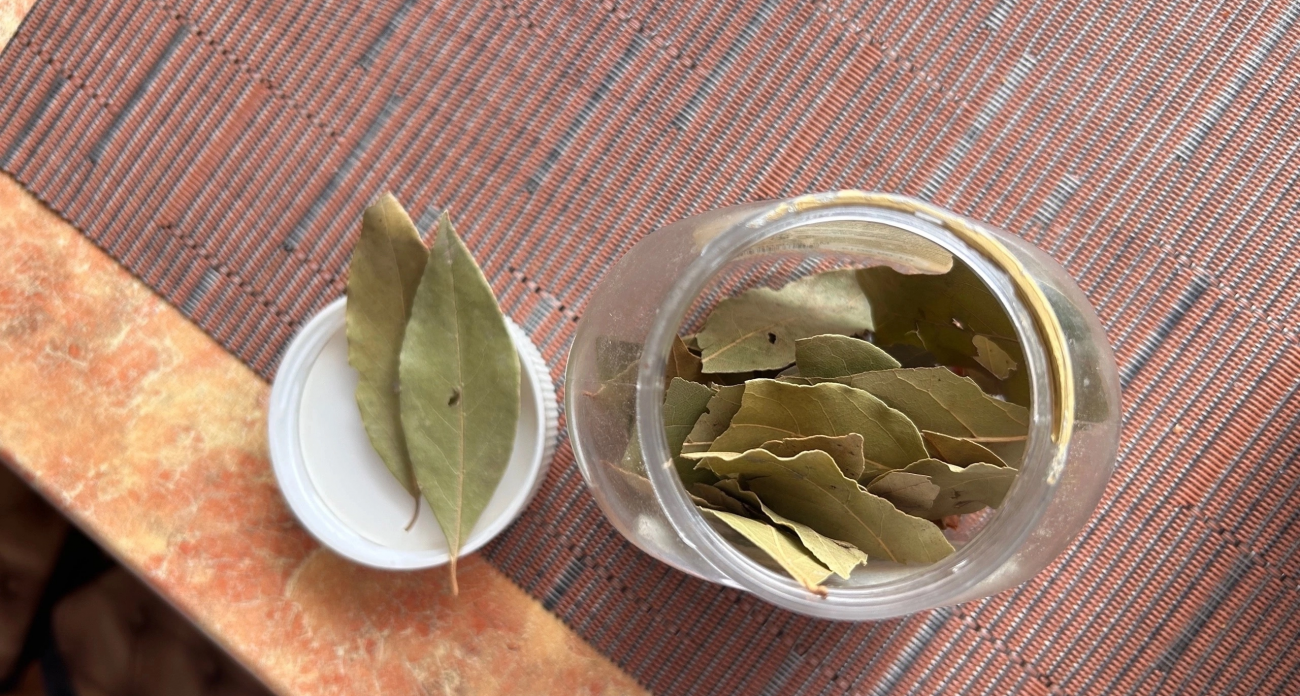 При студеных заморозках за окном кладу лист лавра на радиатор: вся семья замечает разницу