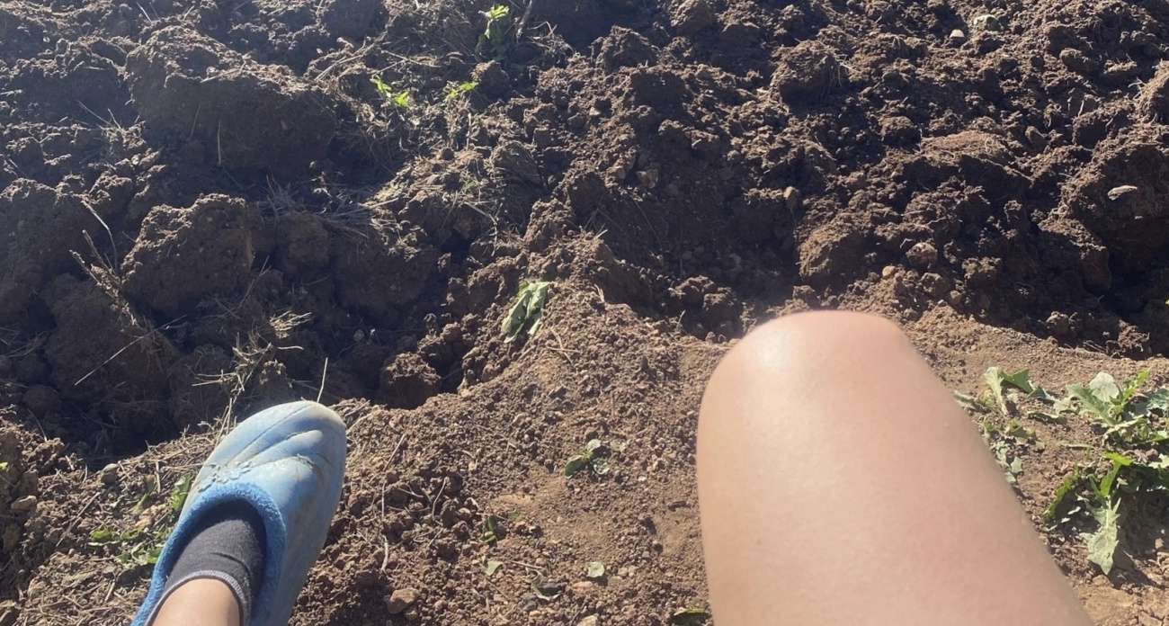 Рыхлая почва станет пышнее пуха: всего 2 стакана этих хлопьев - и невероятный урожай обеспечен