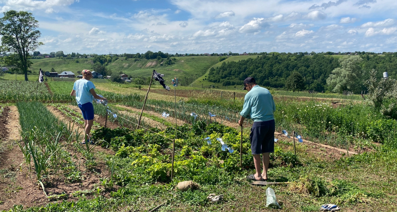 Вредоносные сорняки даже не ступят на огород: ушлые дачники заготавливают это средство уже сейчас