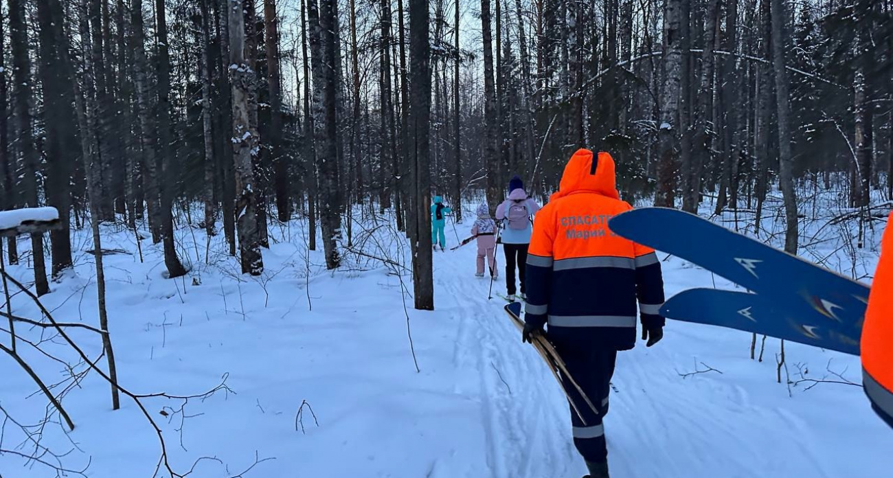 Лыжница с двумя детьми заблудилась в лесу Медведевского района