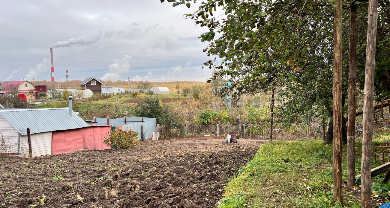 Будет расти и плодоносить в два раза эффективнее: три благоприятных дня для посева в марте по Лунному календарю
