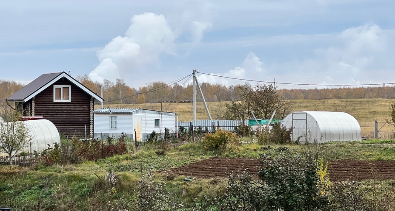 Эффективное полено для малины: кусты не разрастаются по участку, а ягоды собираю ведрами