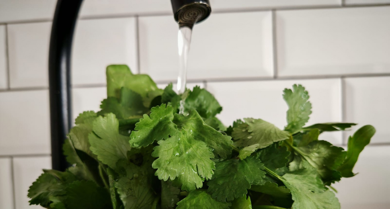 Важные правила мытья зелени: запомните раз и навсегда