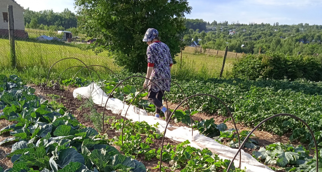 Сорняки забудут дорогу на ваш огород: опытные дачники готовят это средство уже сейчас
