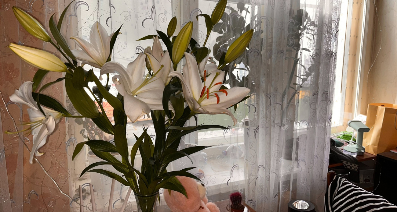 Любые цветы простоят на месяц дольше: метод подойдет даже самым капризным