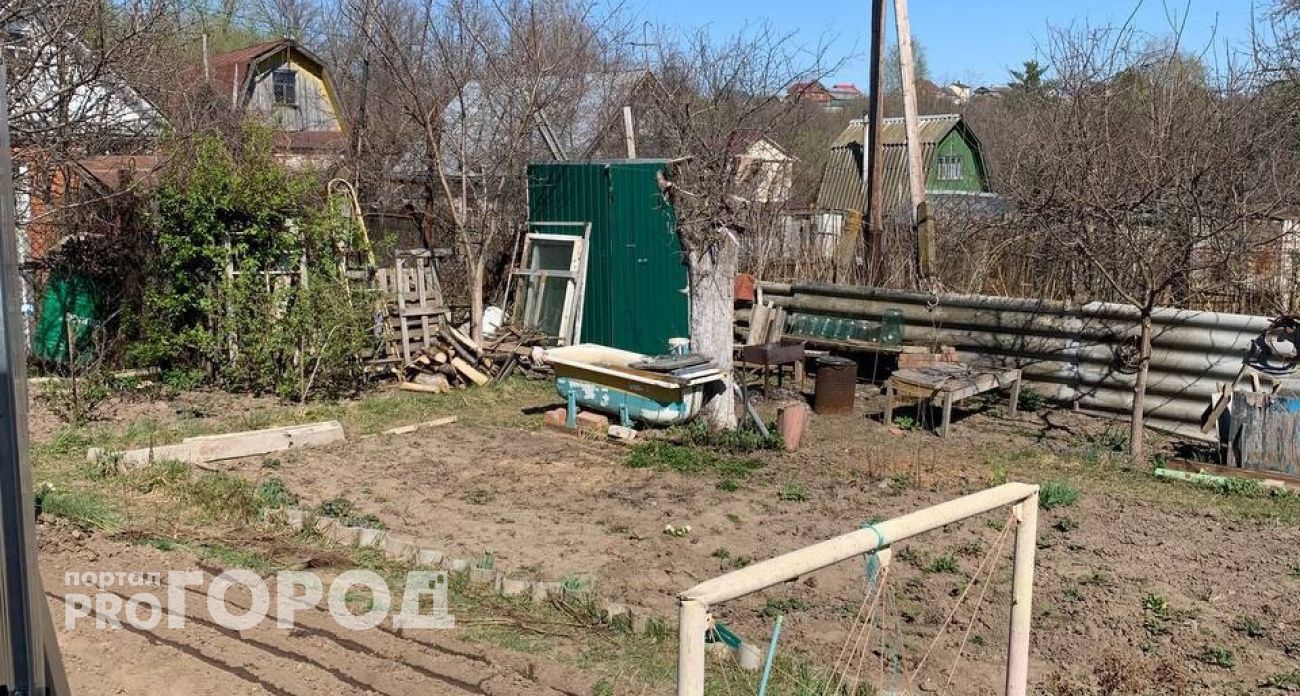 Настоящее бедствие: ядовитый сорняк из Англии захватывает Россию - хуже борщевика