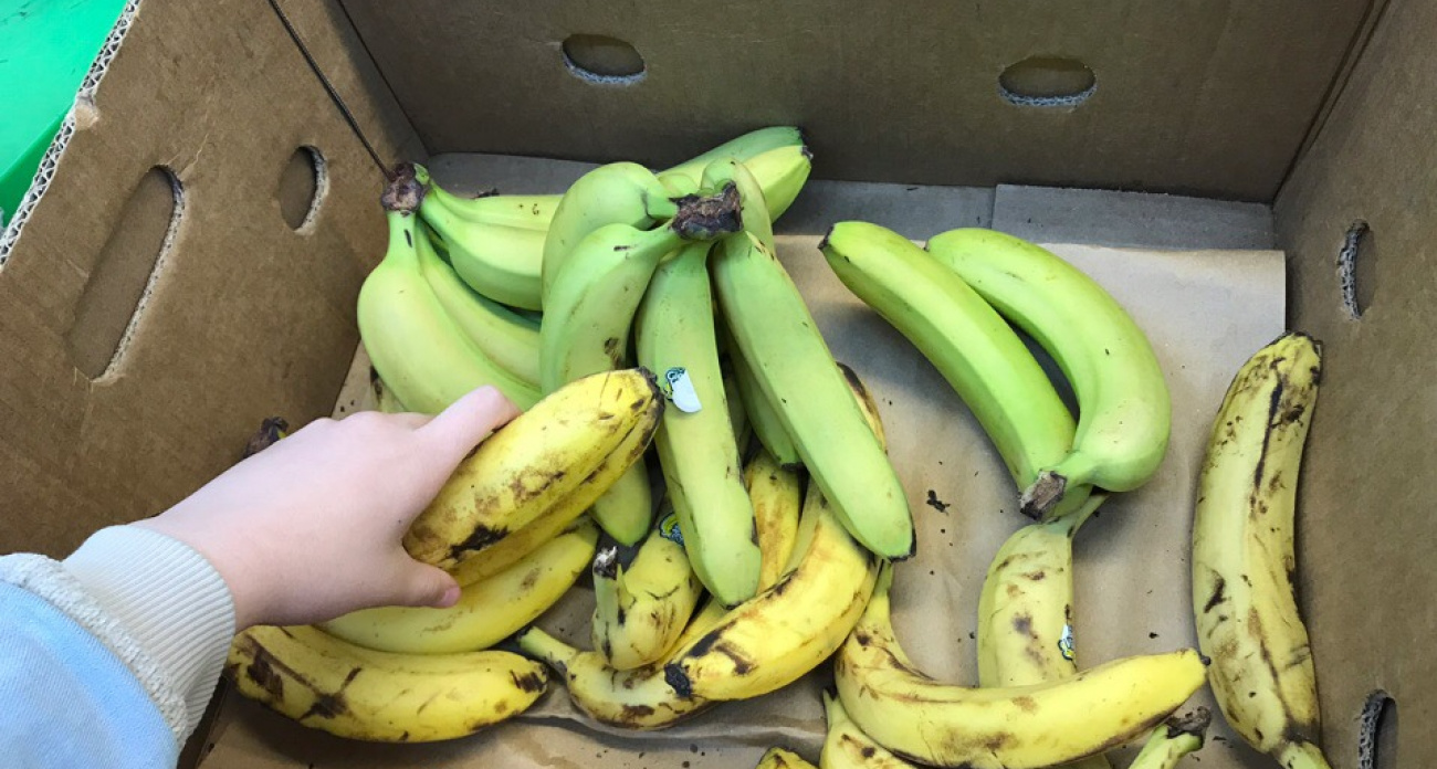 Банановая кожура ценнее золота: мои способы использования в домашнем хозяйстве