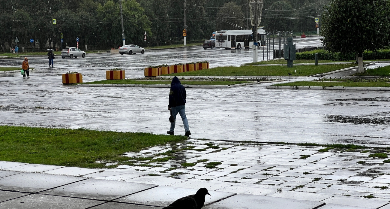 Вильфанд удивил прогнозом: резкое похолодание и проливные дожди ожидаются в мае