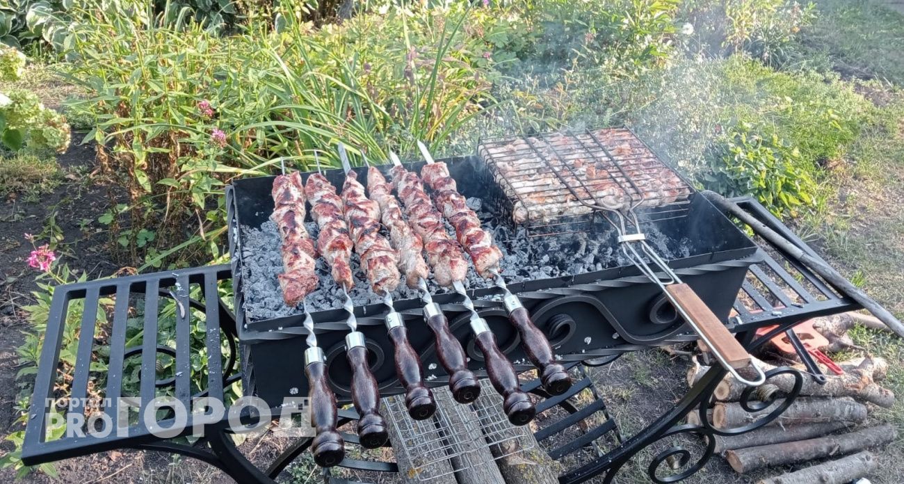 Так готовил шашлык Сталин: секретный рецепт с громкой историей на майские праздники