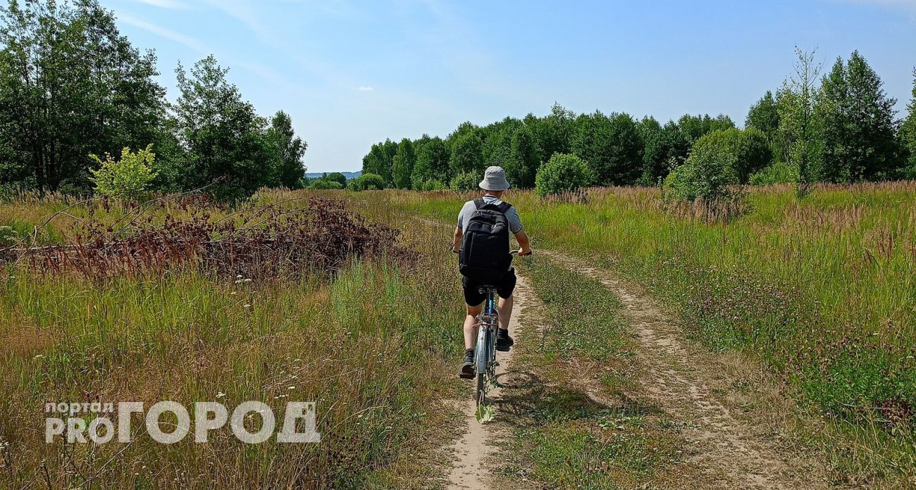 Женщина в Сернурском районе помогала соседу, а он тайно оформил на нее крупный кредит