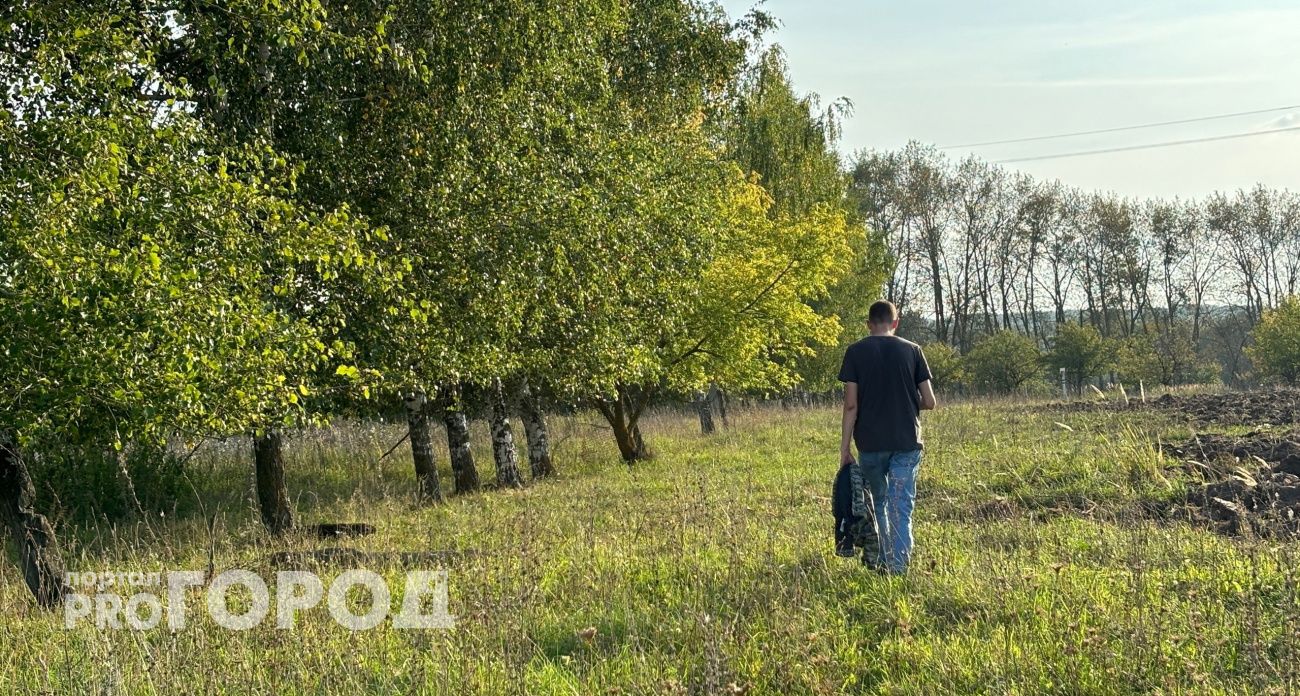 Участок плодородной марийской земли зарос деревьями: кого за это наказали