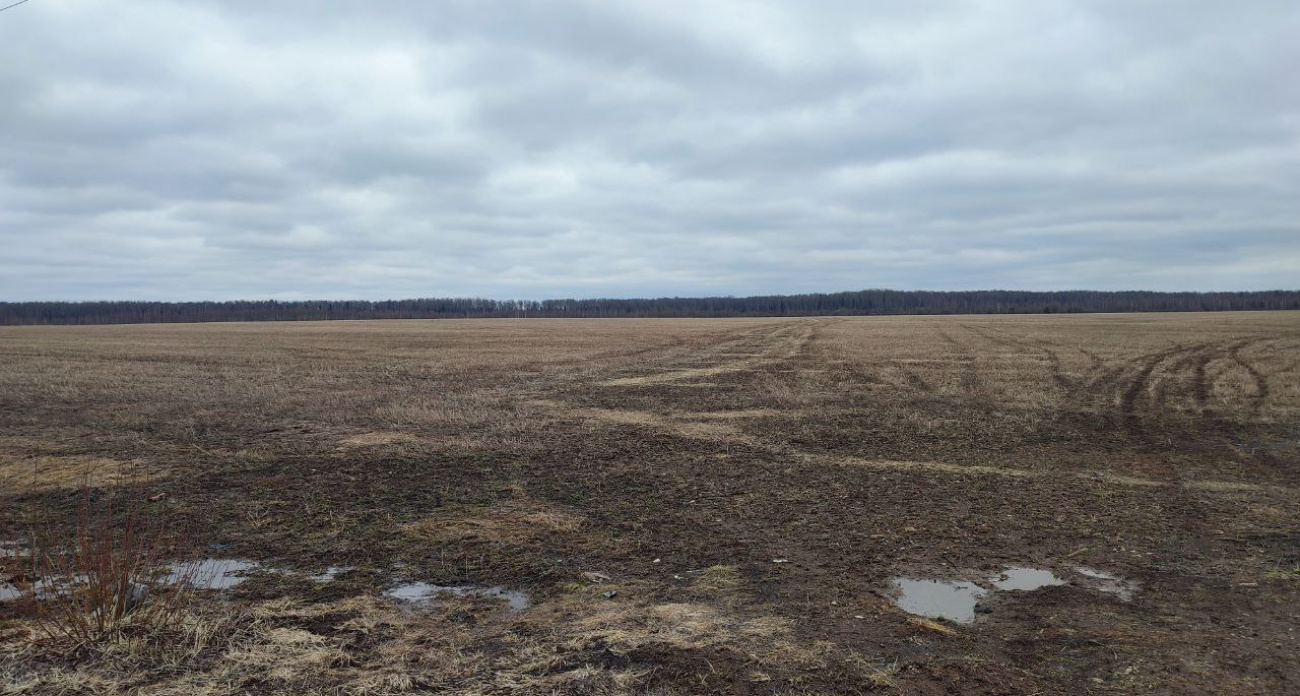 В Марий Эл фермеры и колхозы приступили к посевной 