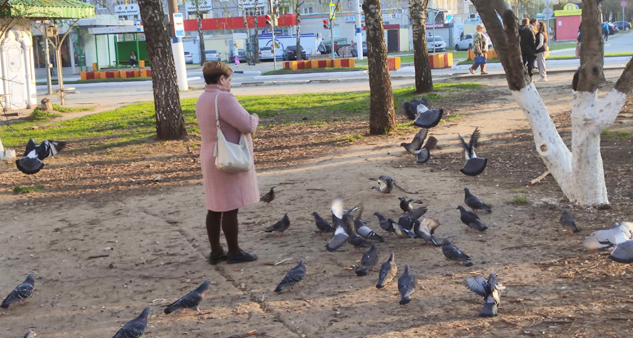 Как определить умного человека: эти пять фраз кричат о высоком интеллекте