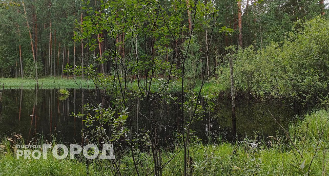 Труп мужчины достали из озера в Медведевском районе