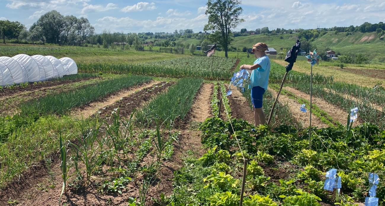 Главный секрет богатого урожая: 7 важных дел в огороде, которые обязательно надо делать в мае