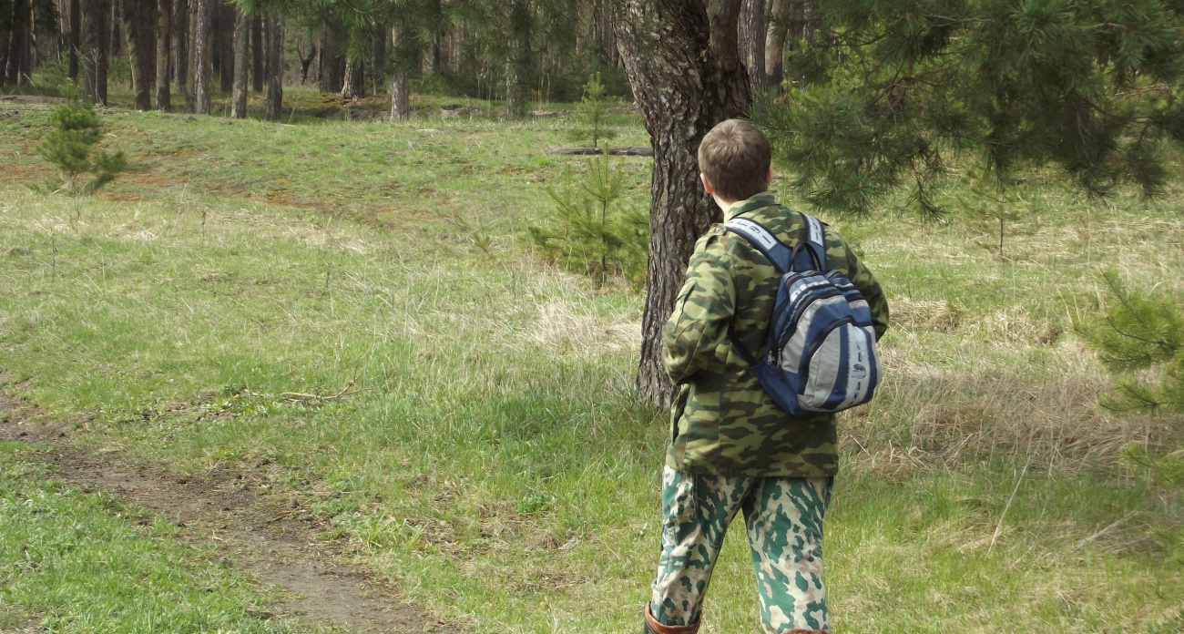 Теперь эта лесная роскошь под запретом: россиянам запретили собирать эти грибы