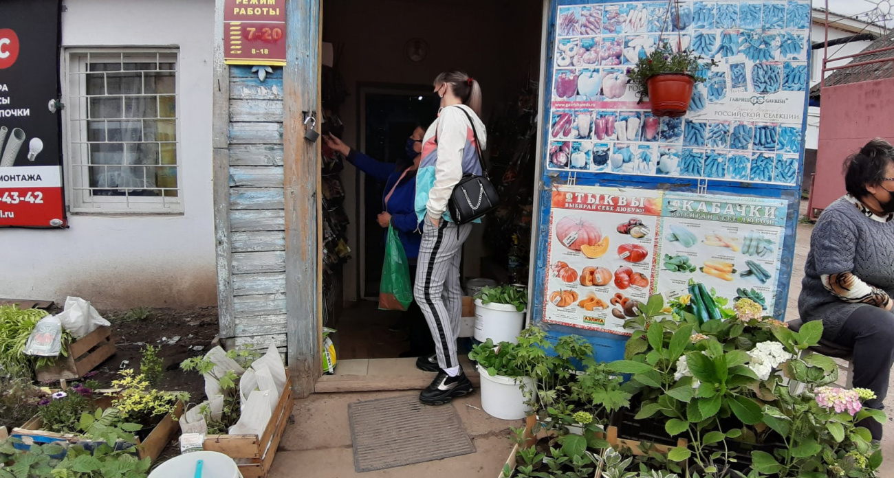 "В обычном магазине не найдешь": в Роскачестве рассказали, как и где выбрать лучшие семена