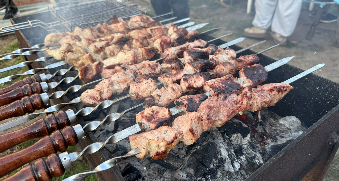 Ни грамма мяса: Роскачество нашло кучу антибиотиков в этих марках шашлыка