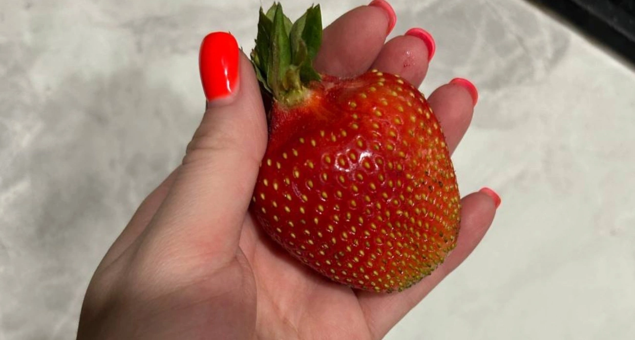 Виктория с ладонь плодится резвее сорняков: хватит 1 щепотки этого средства на ведро воды