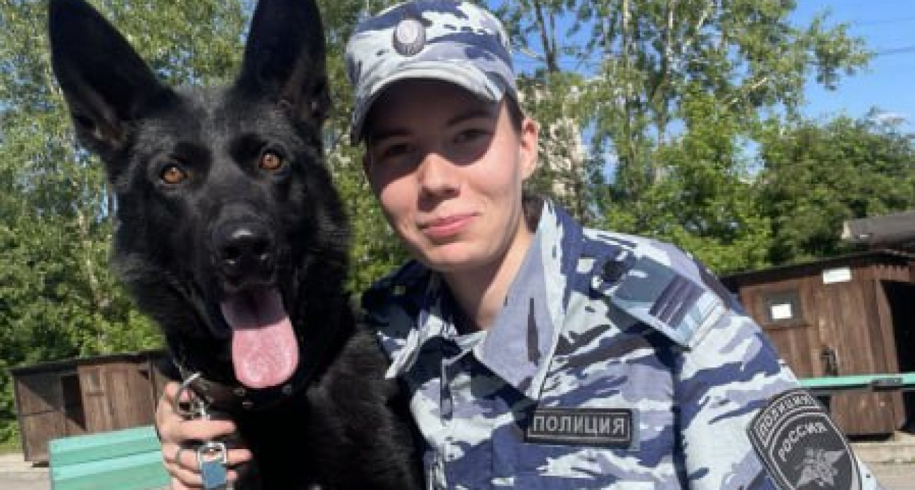 Овчарка по запаху нашла вора из Йошкар-Олы, который орудовал в Чебоксарах