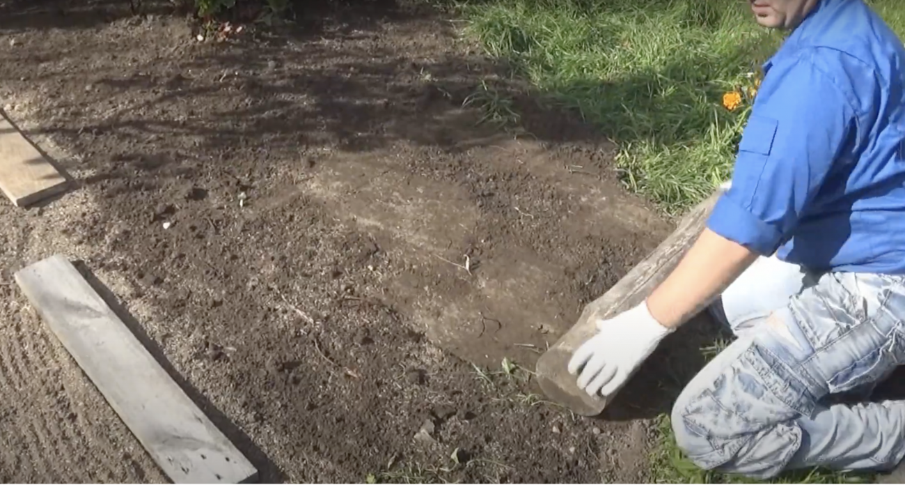 Сорняки больше не лезут: засеяла вместо цветов этим растением – теперь отдыхаю все лето