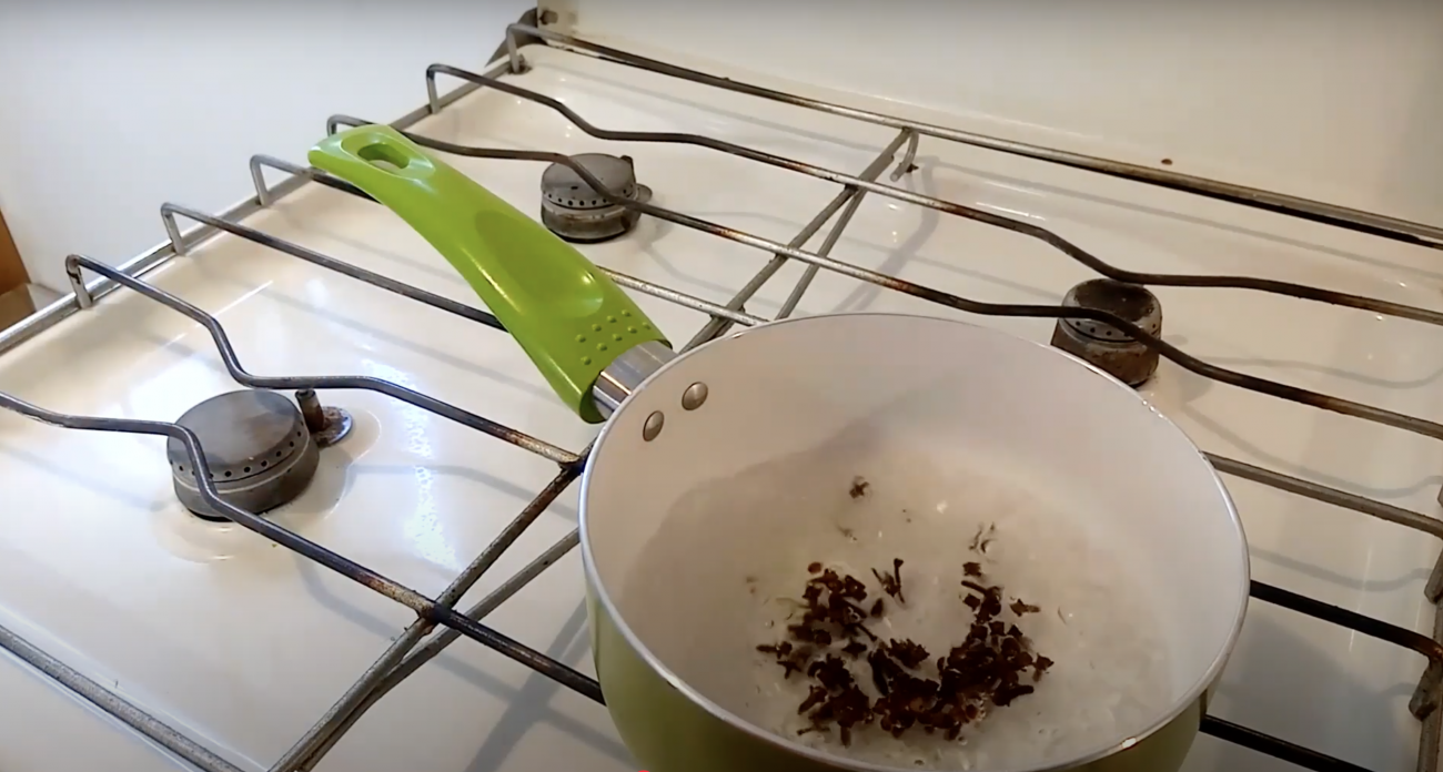 Комары боятся этого как огня: натуральное средство – они даже не сядут на вас